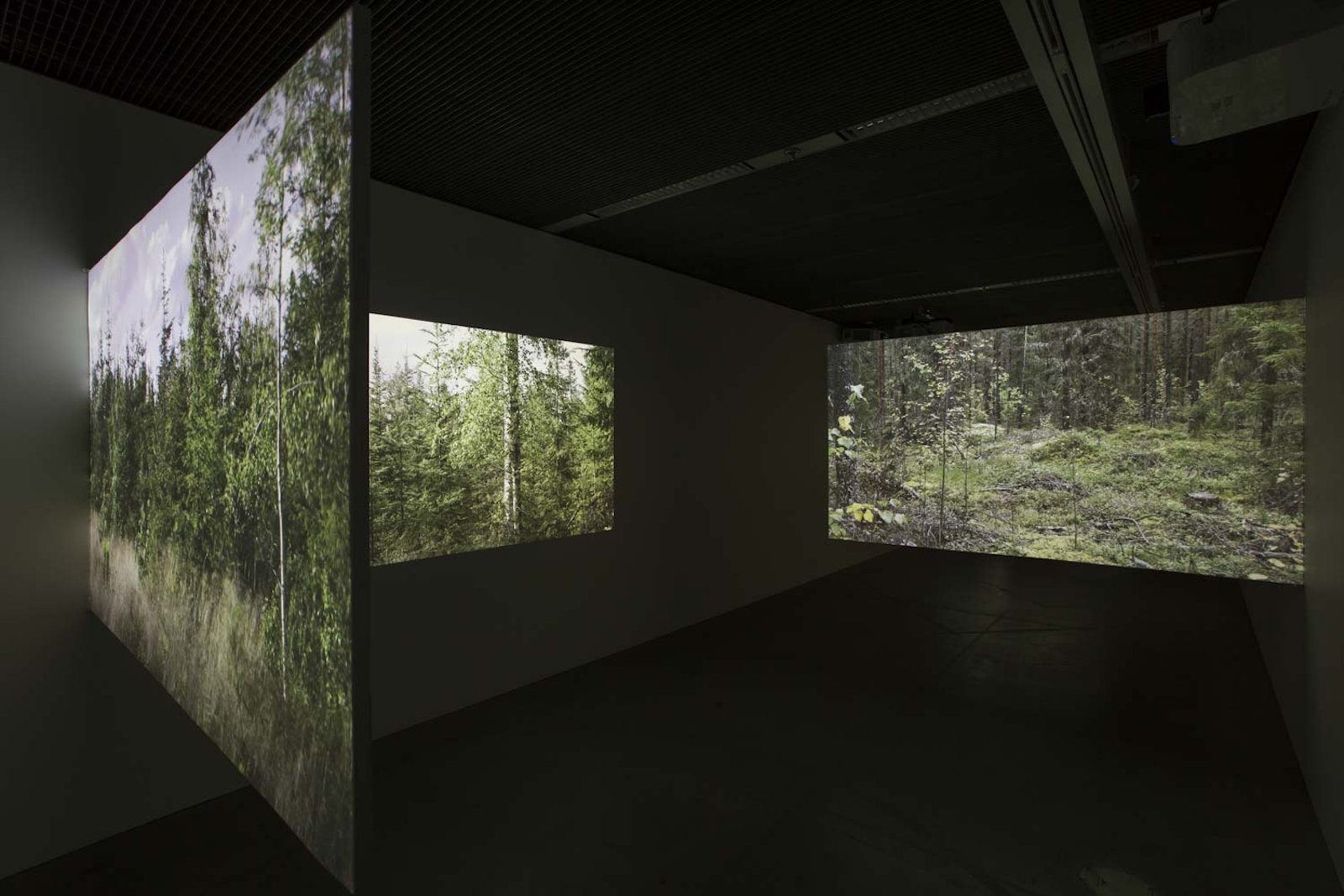 Tobias Titz, Muted Landscape (installation detail), 2018